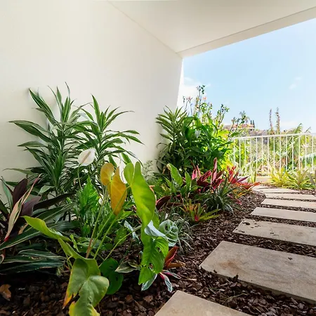 Esmenaut By Madeira Dream Vila *